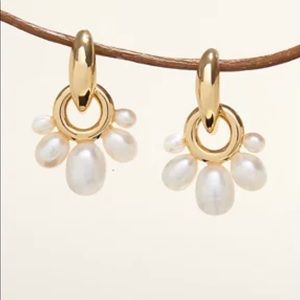 mignonne gavigan gold pearl drop earrings